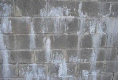 A concrete wall with powdery white marks streaked across it shows signs of efflorescence.