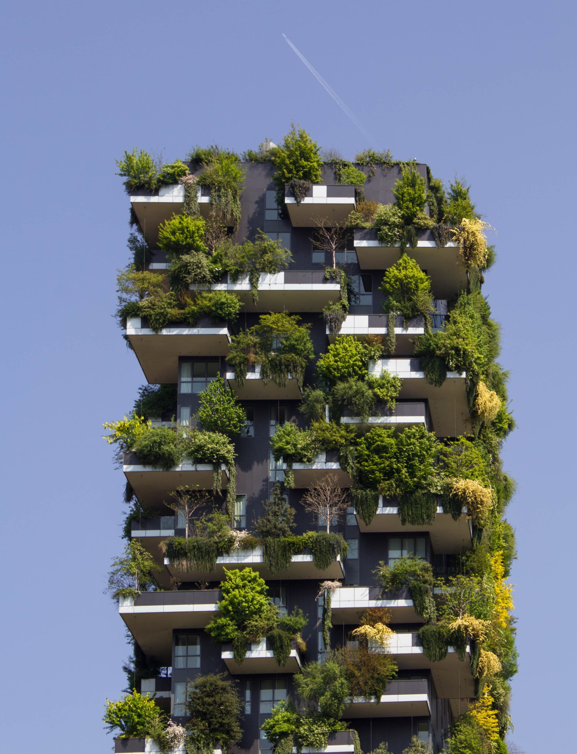 An Italian building with lush greenery coming out of it stands tall against the blue sky.