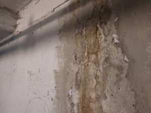 Numerous damp cracks were found in the concrete of the South Surrey building.