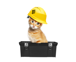 An orange tabby is sitting in a toolbox and wearing a Kryton hard hat in order to work on some pet-friendly construction