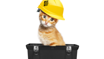An orange tabby is sitting in a toolbox and wearing a Kryton hard hat in order to work on some pet-friendly construction