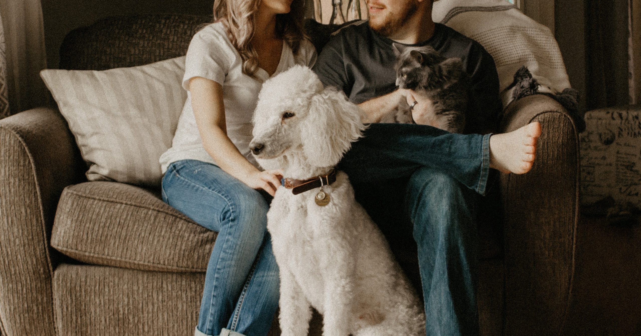 A couple is sitting down on a sofa with their pet dog and cat.