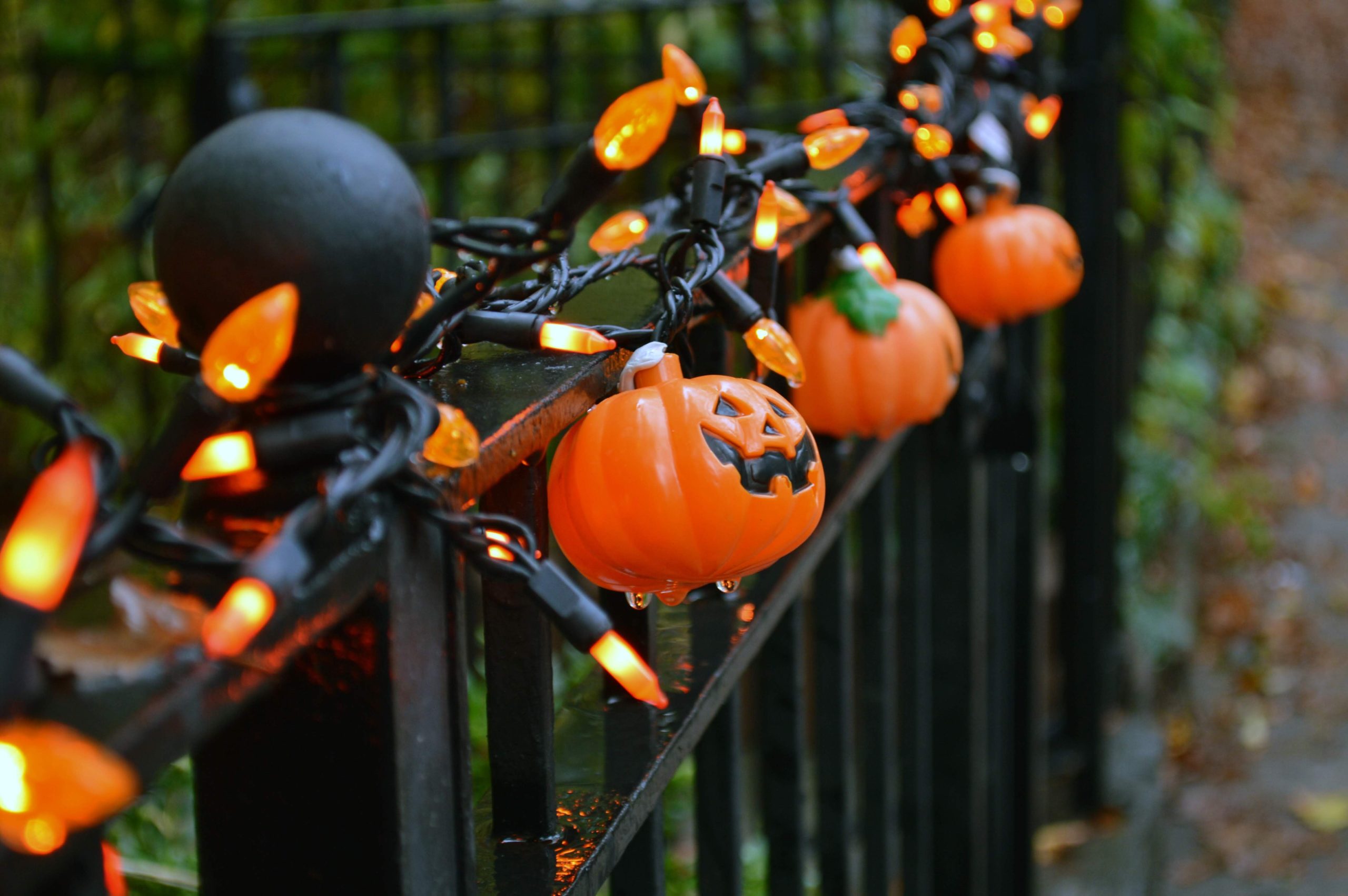 A chain of orange lights and plastic jack-o'-lanterns have been strung up against a black fence.
