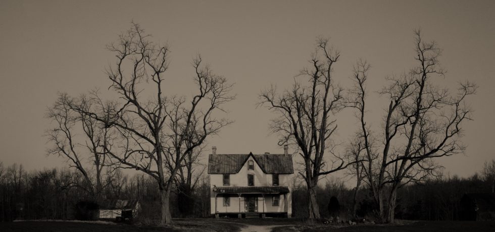 A haunted house sits in-between several barren trees.