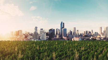 A panoramic view of a modern city shows multiple buildings surrounded by a vibrant green forest as the sun rises over a bright blue sky.