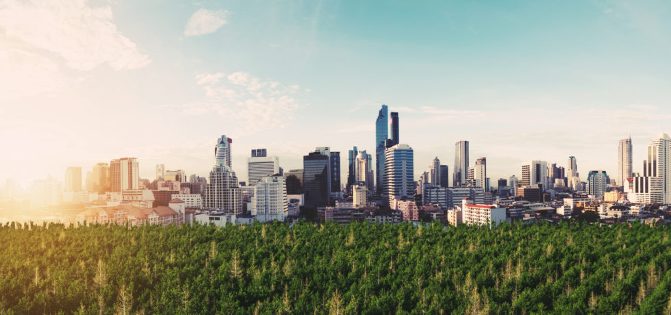 A panoramic view of a modern city shows multiple buildings surrounded by a vibrant green forest as the sun rises over a bright blue sky.
