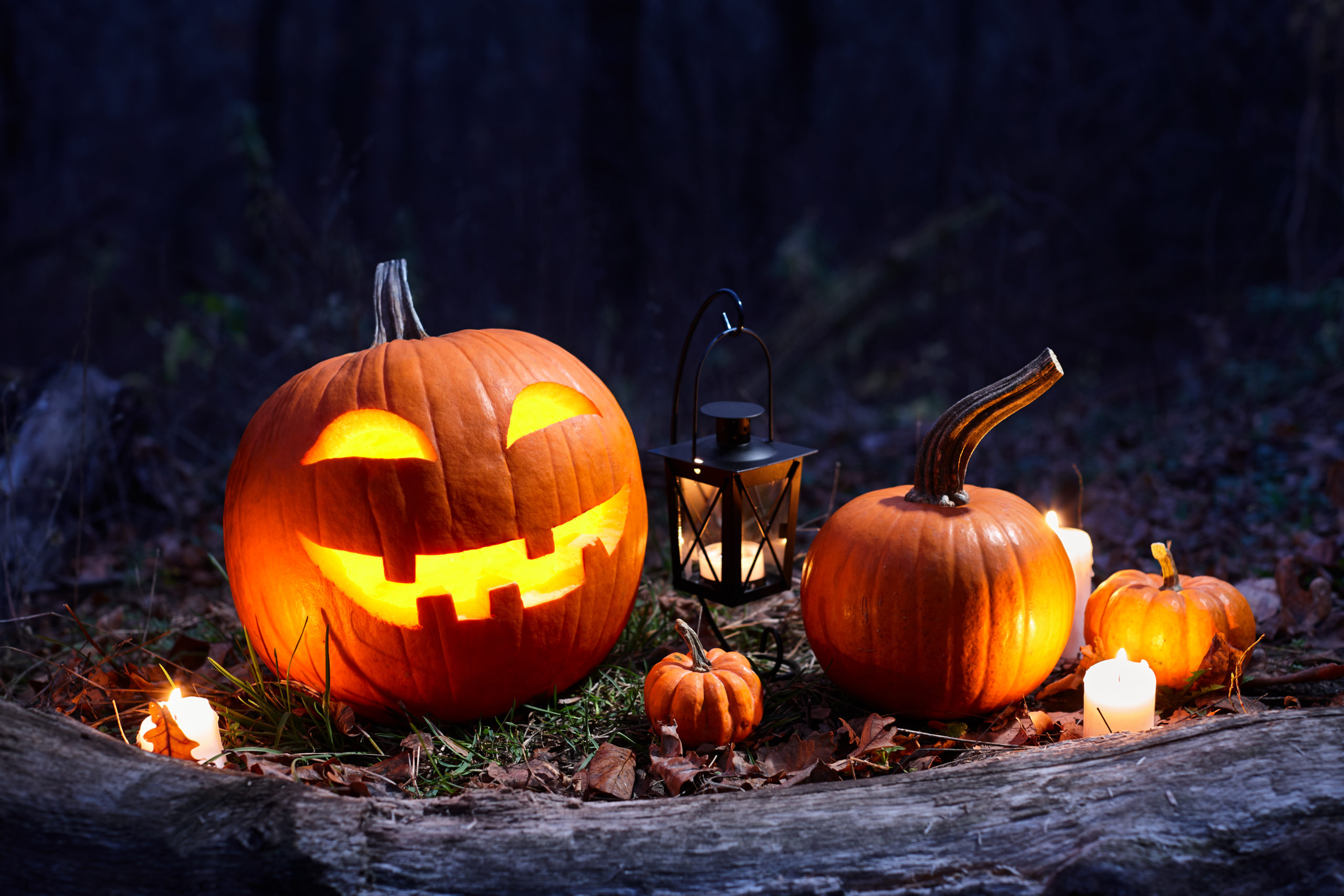 A lit Jack-o'-lantern is on forest-like terrain to the left of three plain pumpkins and a lit lantern and surrounded by candles.