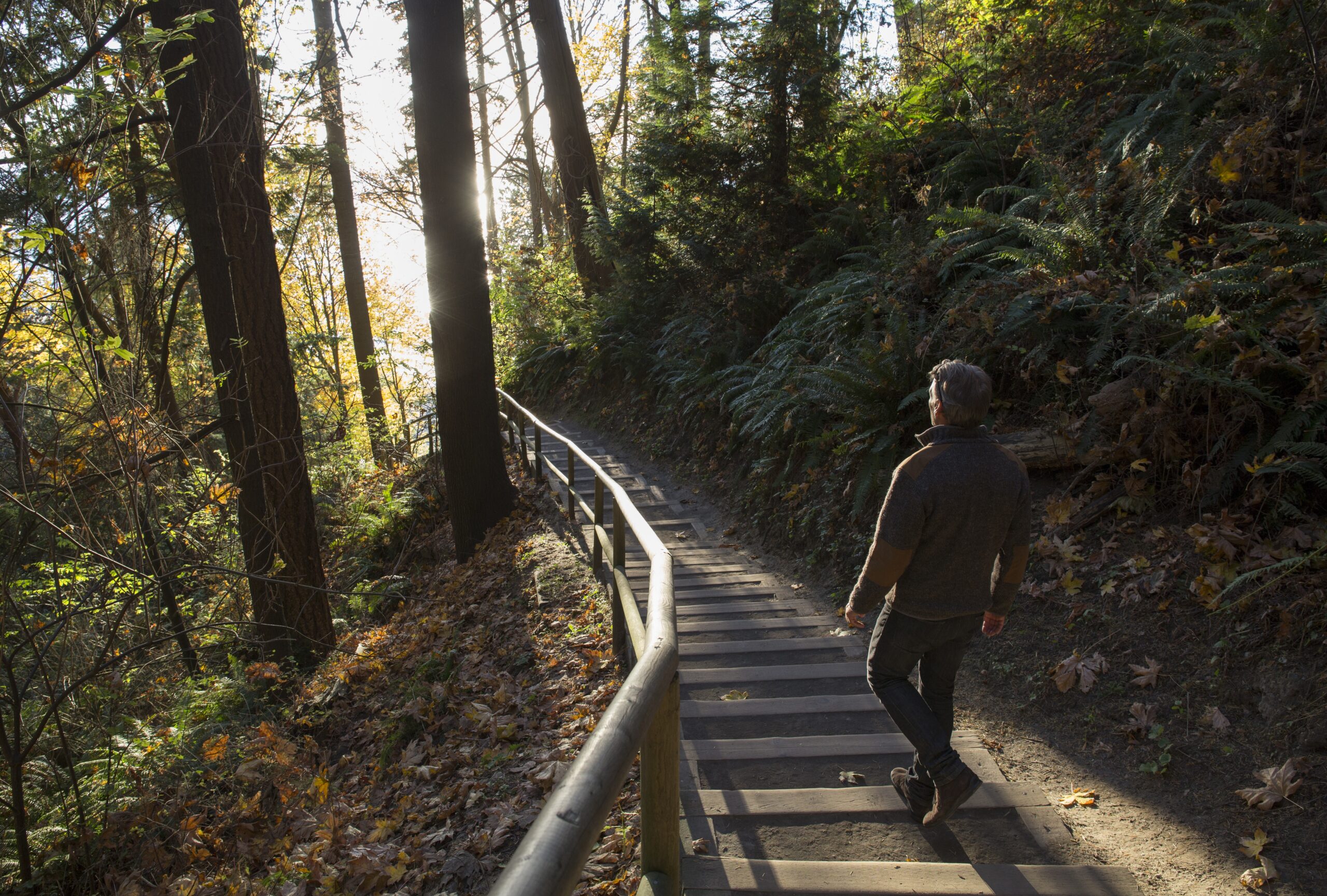 To look at BC climate factors, a man is walking down some stairs with railing to the left side into a wooded area that's lit up by the sun.