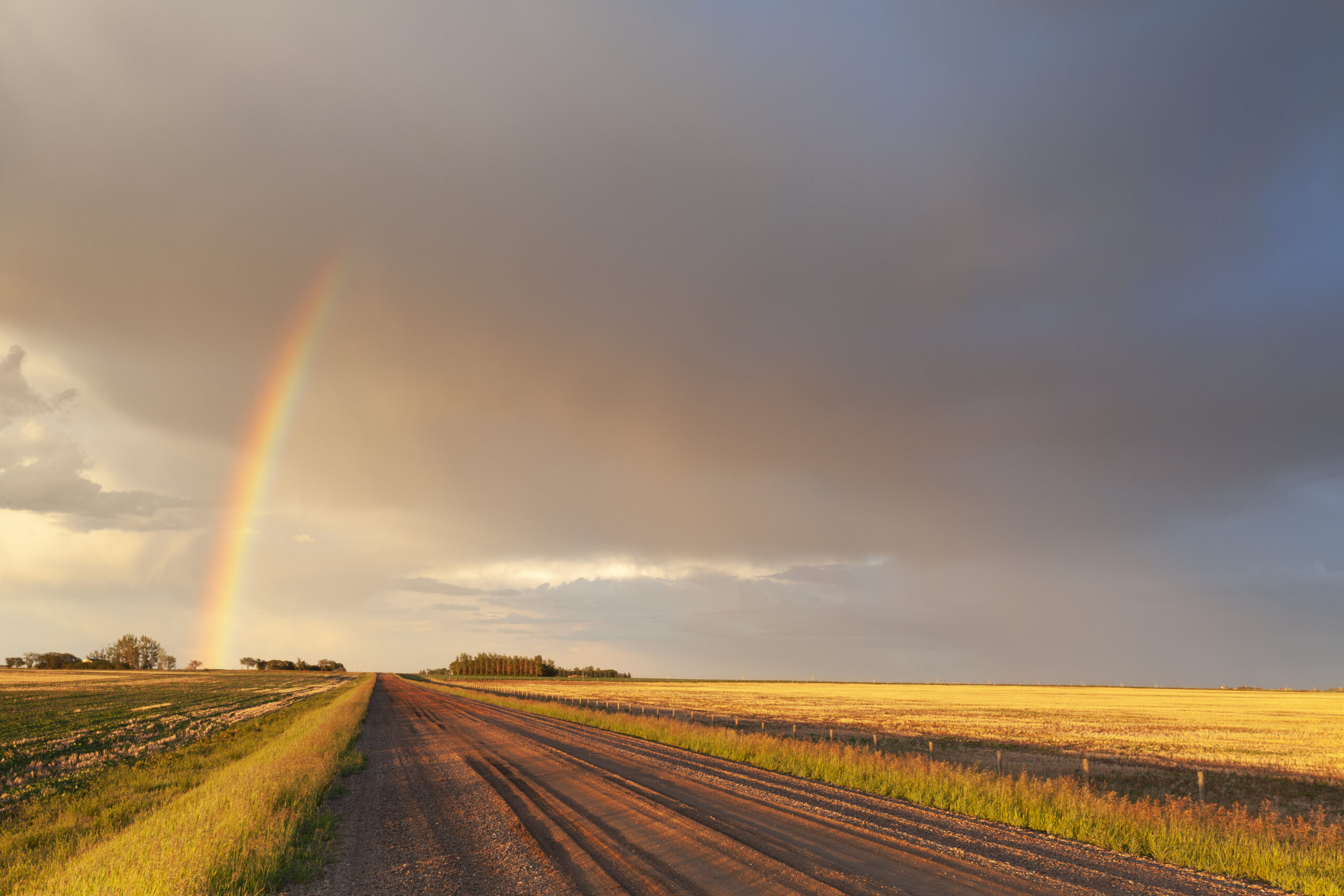 A rainbow juts out from a storm cloud overtop a dirt road that is bordered by prairie ground.